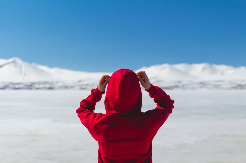 Red hoodie seen from behind against a snowy landscape